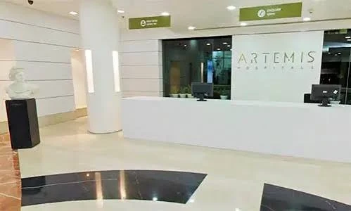 مستشفى أرتيمس، جوروجرام